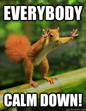 EVERYBODY  CALM DOWN! - EVERYBODY  CALM DOWN!  Panic Squirrel