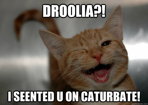 Droolia?! I seented u on caturbate!  
