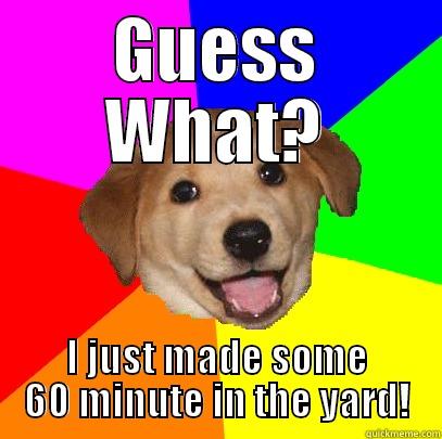 GUESS WHAT? I JUST MADE SOME 60 MINUTE IN THE YARD! Advice Dog
