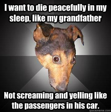 I want to die peacefully in my sleep, like my grandfather Not screaming and yelling like the passengers in his car. - I want to die peacefully in my sleep, like my grandfather Not screaming and yelling like the passengers in his car.  Depression Dog