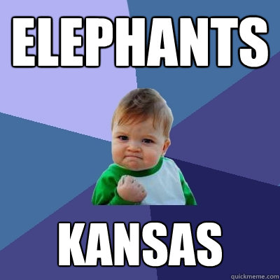 elephants kansas - elephants kansas  Success Kid