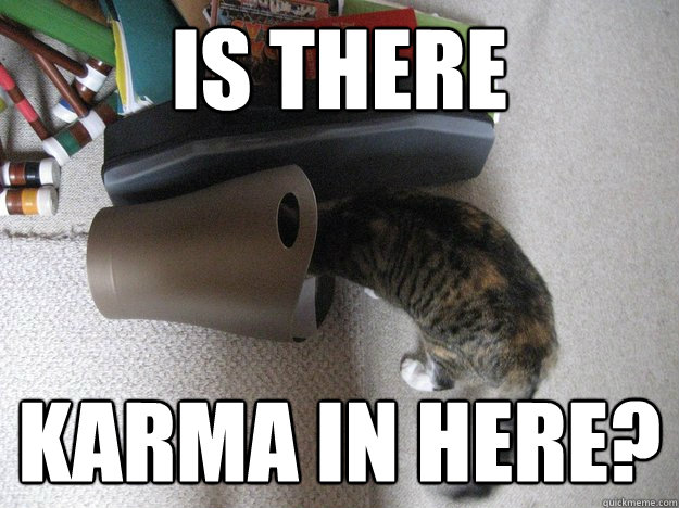 Is there Karma in here? - Is there Karma in here?  Misc
