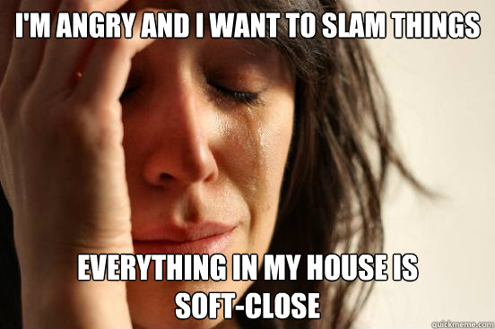 I'M ANGRY AND I WANT TO SLAM THINGS EVERYTHING IN MY HOUSE IS 
SOFT-CLOSE  First World Problems