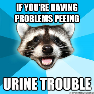 if you're having problems peeing urine trouble - if you're having problems peeing urine trouble  Lame Pun Raccoon