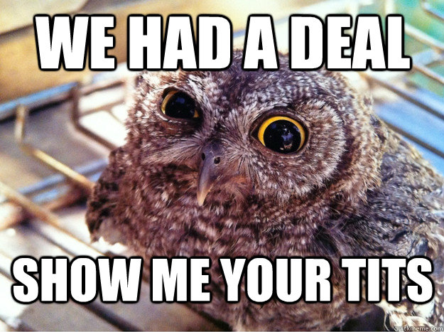 We had a deal Show me your tits - We had a deal Show me your tits  Skeptical Owl