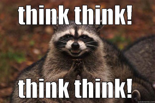 evil evil - THINK THINK! THINK THINK! Evil Plotting Raccoon