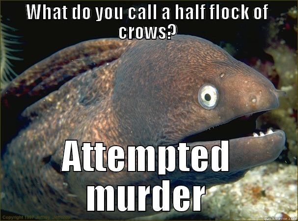 WHAT DO YOU CALL A HALF FLOCK OF CROWS? ATTEMPTED MURDER Bad Joke Eel