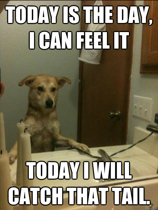 today is the day, i can feel it today i will catch that tail. - today is the day, i can feel it today i will catch that tail.  Misc
