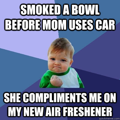 SMoked a bowl before mom uses car she compliments me on my new air freshener  Success Kid