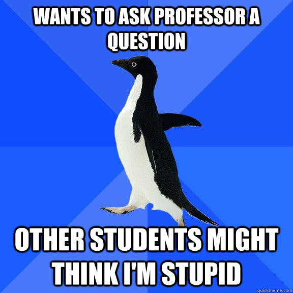 Wants to ask professor a question Other students might think I'm stupid  Socially Awkward Penguin