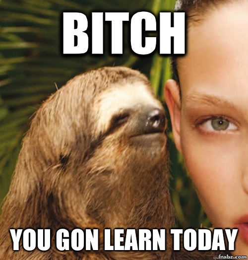 Bitch You gon learn today  rape sloth