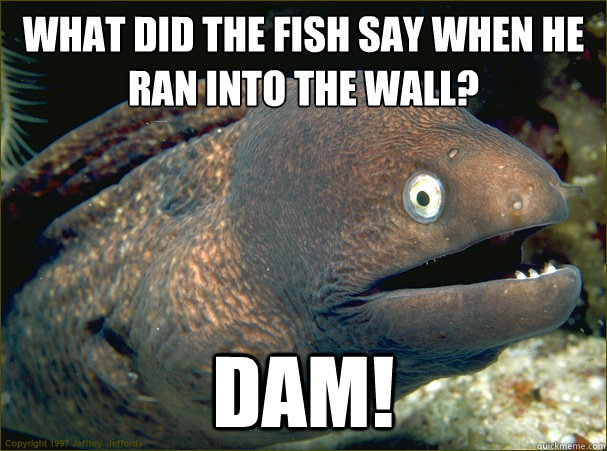 what did the fish say when he ran into the wall? dam!  Bad Joke Eel