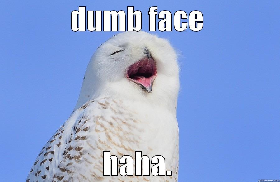 dumb face owl - DUMB FACE HAHA. Misc