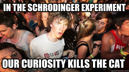 In the schrodinger experiment our curiosity kills the cat  Sudden Clarity Clarence