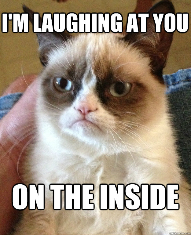 I'm laughing at you on the inside  Grumpy Cat
