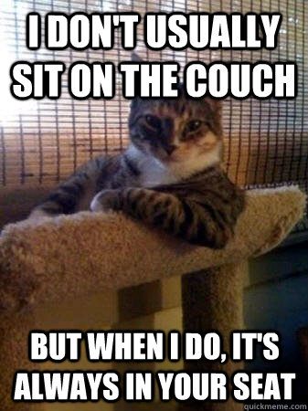 I don't usually sit on the couch but when I do, it's always in your seat  The Most Interesting Cat in the World