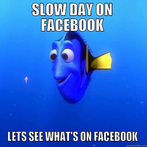 SLOW DAY ON FACEBOOK LETS SEE WHAT'S ON FACEBOOK dory