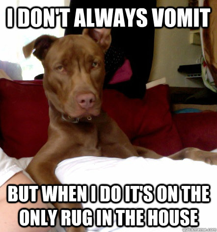 I don't always vomit But when I do it's on the only rug in the house - I don't always vomit But when I do it's on the only rug in the house  Misc