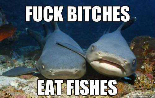 fuck bitches eat fishes  Compassionate Shark Friend