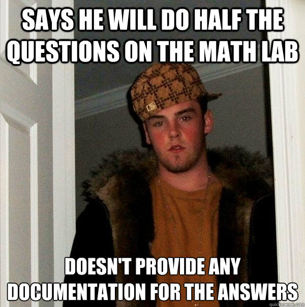 Says he will do half the questions on the math lab doesn't provide any documentation for the answers   Scumbag Steve