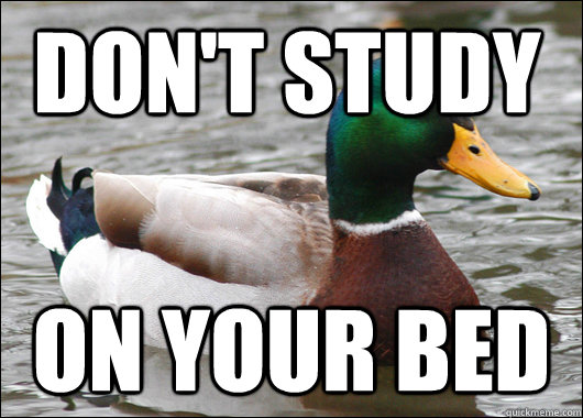 Don't Study  On Your Bed  Actual Advice Mallard