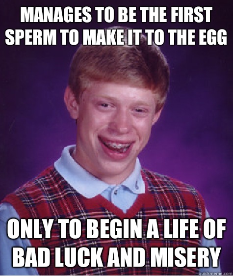 Manages to be the first sperm to make it to the egg Only to begin a life of bad luck and misery  Bad Luck Brian