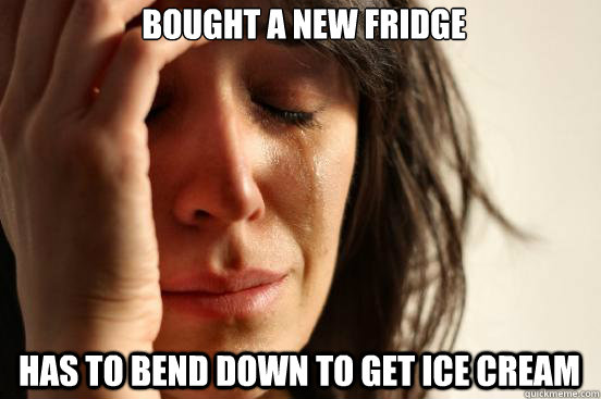 bought a new fridge has to bend down to get ice cream  First World Problems