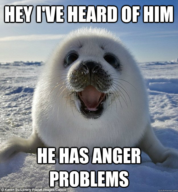 HEY I'VE HEARD OF HIM HE HAS ANGER PROBLEMS  Easily Pleased Seal
