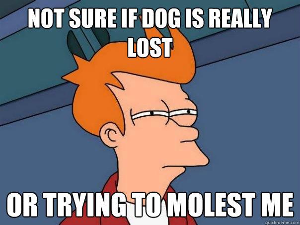 Not sure if dog is really lost Or trying to molest me  Futurama Fry