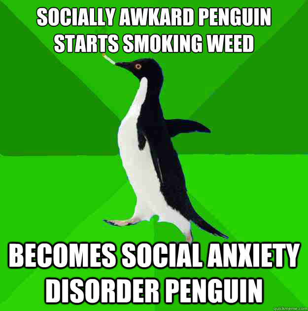 socially awkard Penguin starts smoking weed becomes Social anxiety disorder Penguin  Stoner Penguin