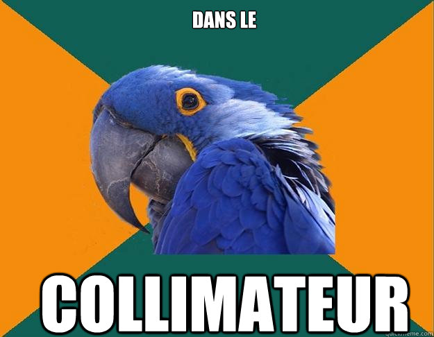 Dans le Collimateur  Paranoid Parrot