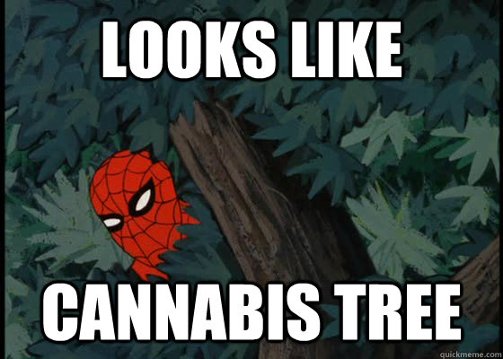 looks like cannabis tree  60s Spiderman