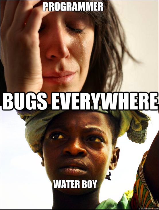 Programmer Bugs EVERYWHERE Water Boy  First vs Third World Problems