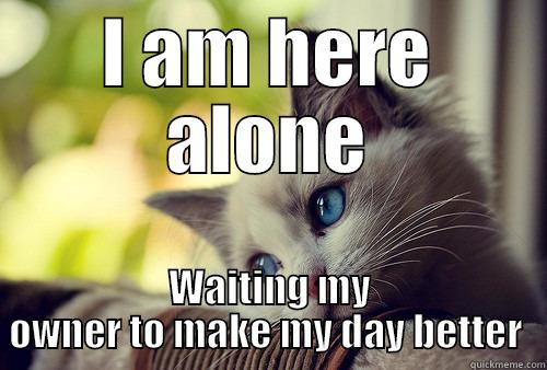 I AM HERE ALONE WAITING MY OWNER TO MAKE MY DAY BETTER  First World Problems Cat