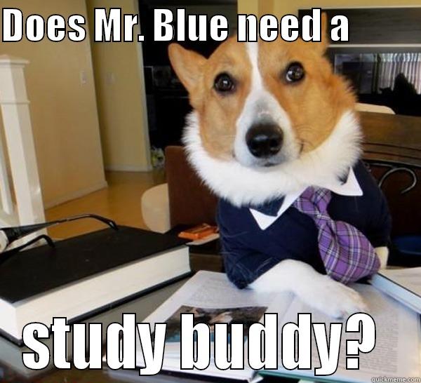 DOES MR. BLUE NEED A           STUDY BUDDY?  Lawyer Dog