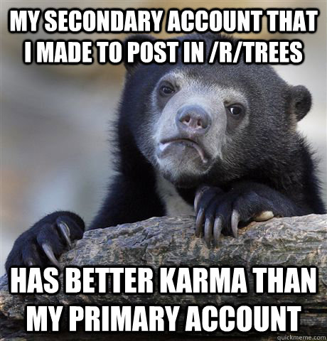 My Secondary Account that I made to post in /r/trees Has better karma than my primary account  Confession Bear