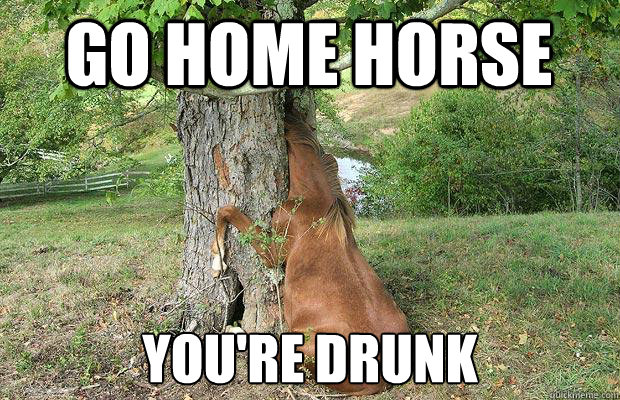Go home horse You're drunk  