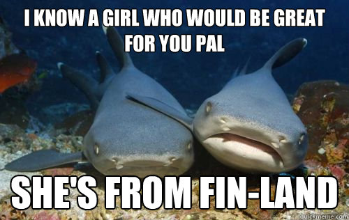 I know a girl who would be great for you pal She's from Fin-Land  Compassionate Shark Friend