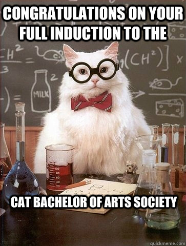 Congratulations on your full induction to the  Cat Bachelor of Arts Society  Chemistry Cat