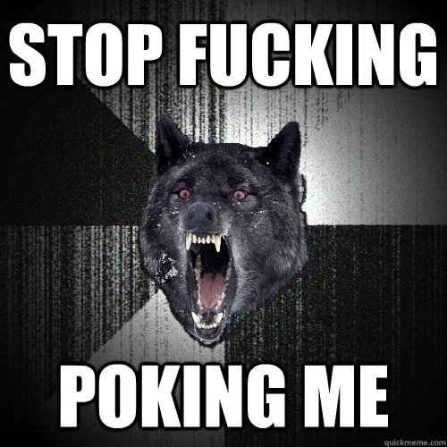 STOP FUCKING POKING ME  Insanity Wolf