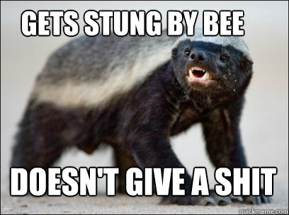 gets stung by bee Doesn't give a shit  