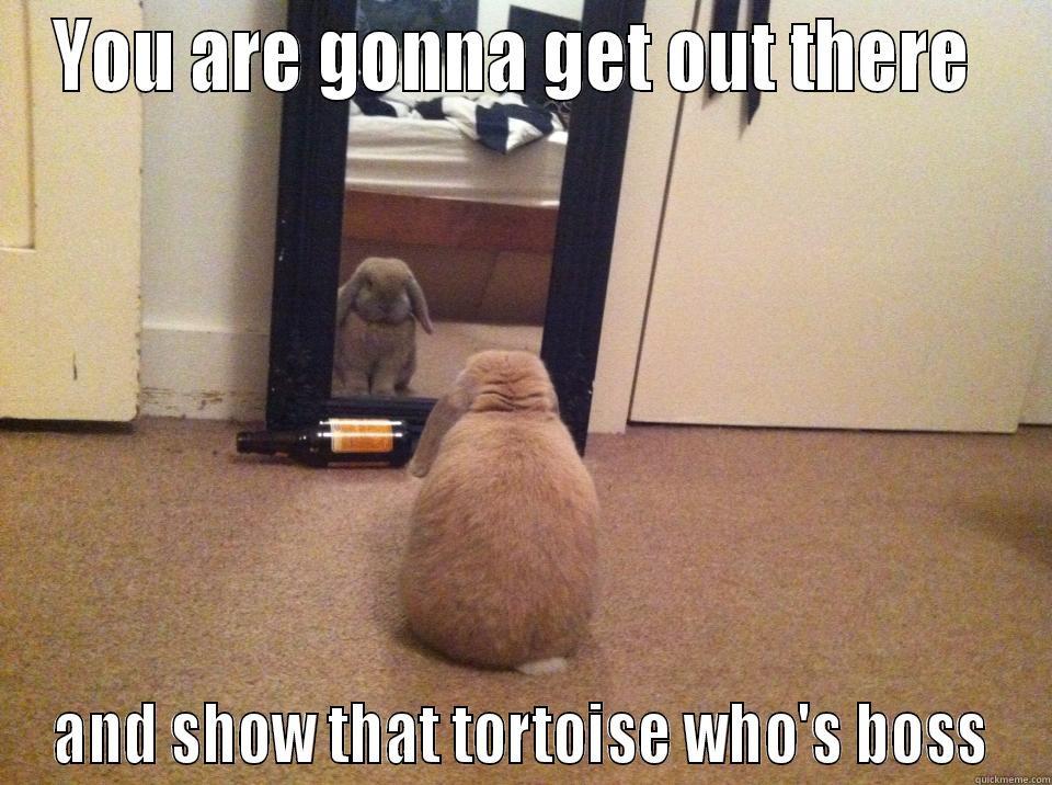 You are gonna get out there and show that tortoise who's boss - YOU ARE GONNA GET OUT THERE  AND SHOW THAT TORTOISE WHO'S BOSS Misc