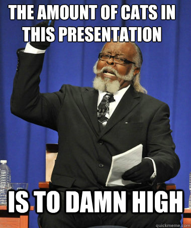 The Amount of Cats In this Presentation  Is to damn high  The Rent Is Too Damn High