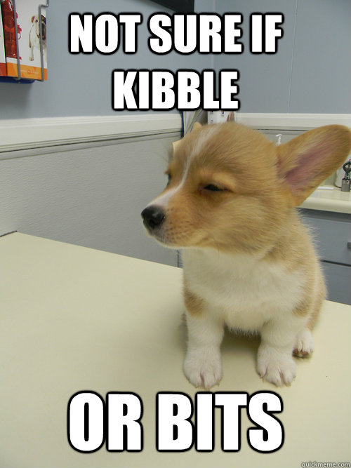not sure if kibble or bits - not sure if kibble or bits  Futurama Fry Dog