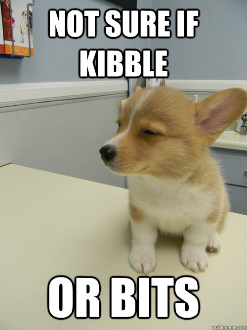 not sure if kibble or bits  