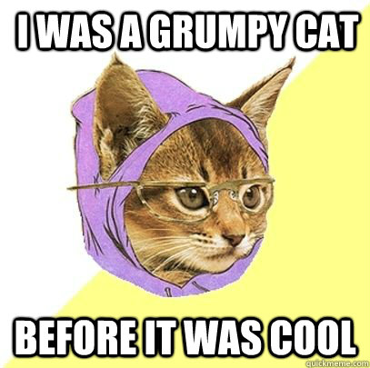 I was a grumpy cat before it was cool  Hipster cat knowledge