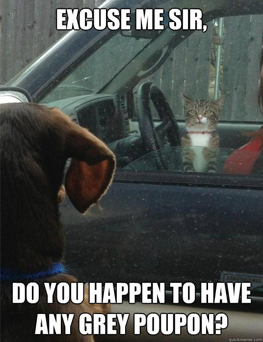 Excuse me sir, do you happen to have any Grey Poupon? - Excuse me sir, do you happen to have any Grey Poupon?  Cat needs directions