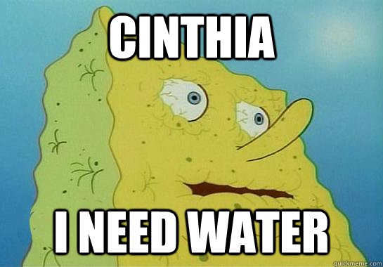 Cinthia I need water  Spongebob water