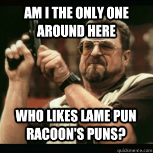 Am i the only one around here Who likes lame pun racoon's puns? - Am i the only one around here Who likes lame pun racoon's puns?  Misc