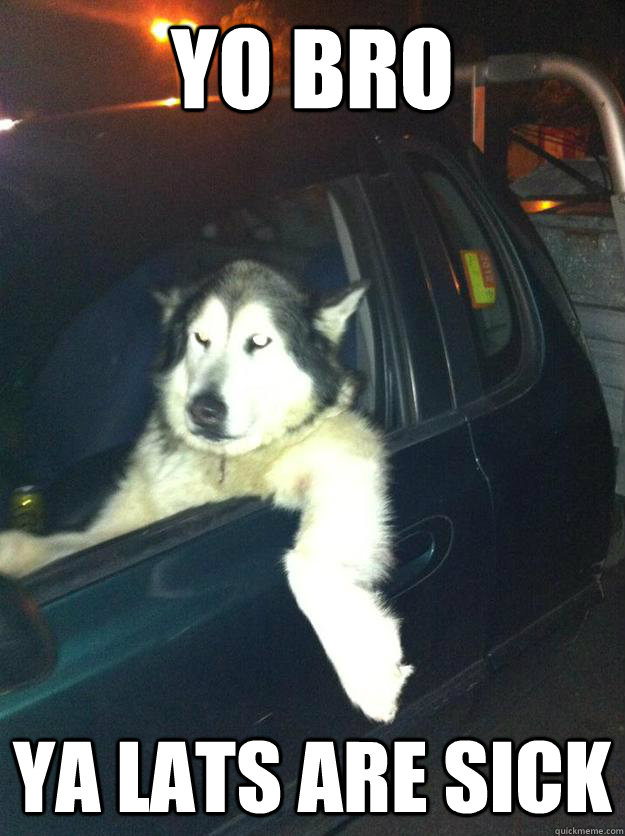 yo bro ya lats are sick  Mean Dog